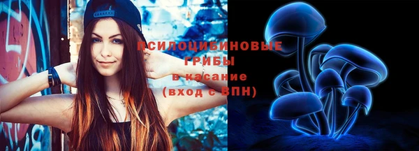 ГАЛЛЮЦИНОГЕННЫЕ ГРИБЫ Абинск