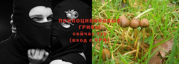ГАЛЛЮЦИНОГЕННЫЕ ГРИБЫ Абинск