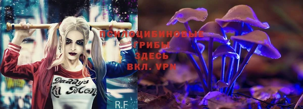 ГАЛЛЮЦИНОГЕННЫЕ ГРИБЫ Абинск