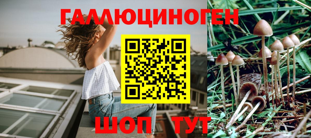 что такое наркотик  Псилоцибиновые грибы Psilocybine cubensis  Вход с VPN  Великий Новгород 