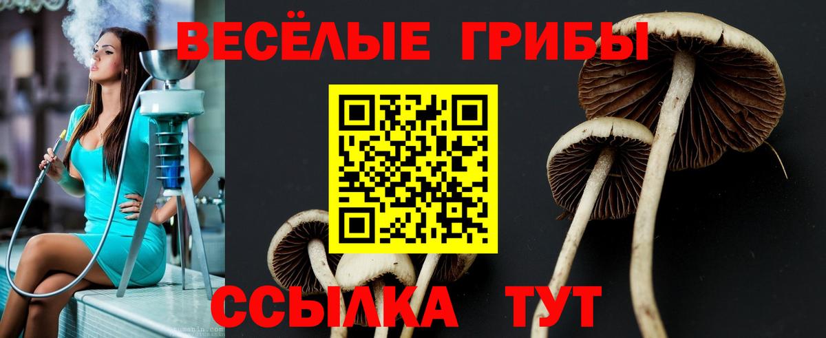 Галлюциногенные грибы GOLDEN TEACHER Великий Новгород