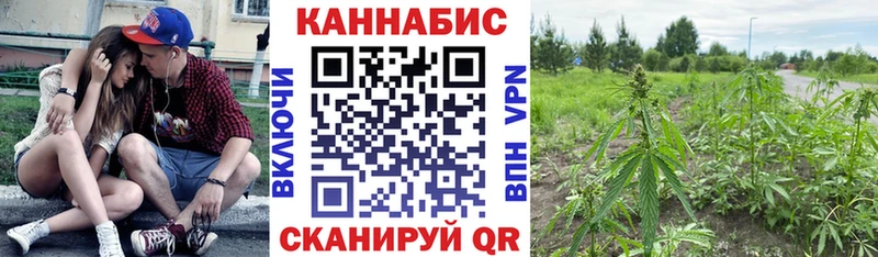 Бошки марихуана SATIVA & INDICA Великий Новгород